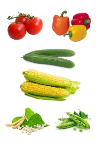 /_/static/r1.nubex.ru/s2630-a74/f1064_2c/1602231927_31273367.jpeg